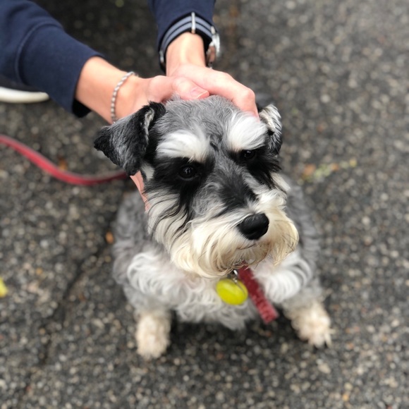 Meet your Posher, Robyn - Picture 1 of 1